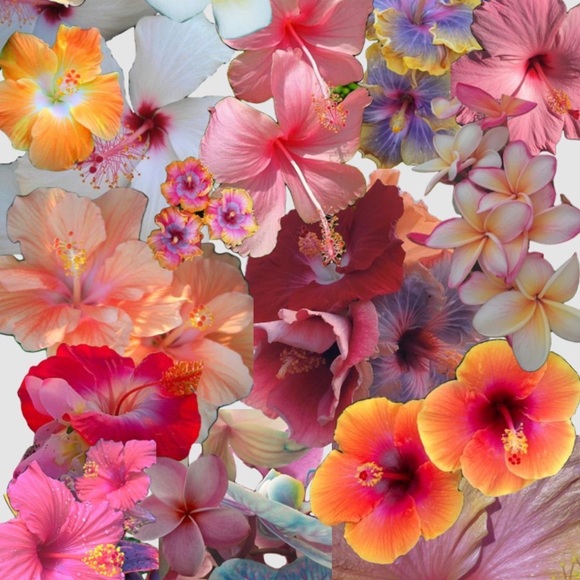 Mystery Bundle - Picture 1 of 1